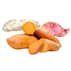 Camote