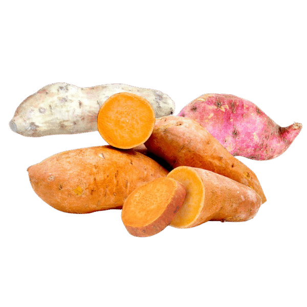 Camote