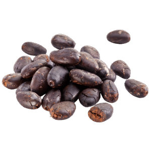 Cacao en grano tostado