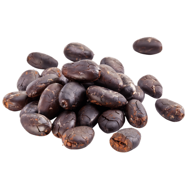 Cacao en grano tostado
