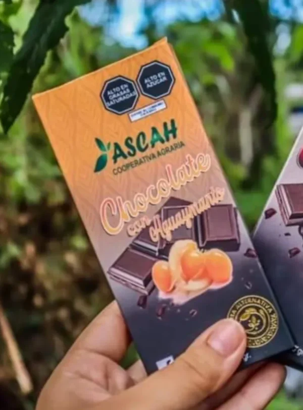 Chocolate con Aguaymanto