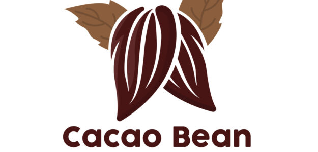 Cacao Bean